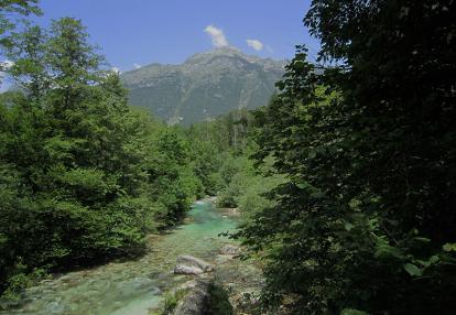 Voyage en Slovénie du Groupe de Christine B.