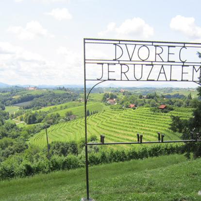 Vignobles De Jeruzalem Voyage en Slovénie du Groupe de Christine B.