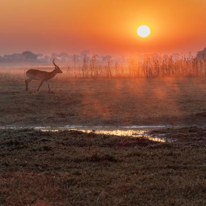 Voyage en Zambie de Bernard P.