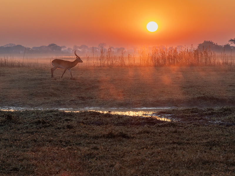 Voyage en Zambie de Bernard P.