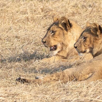 Voyage en Zambie de Bernard P.