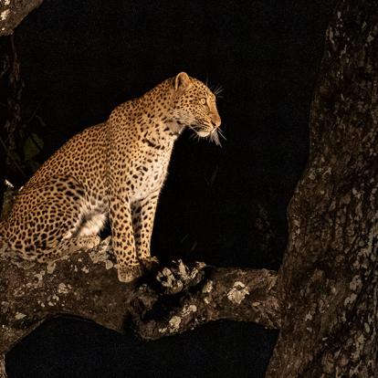 Voyage en Zambie de Bernard P.