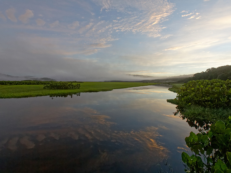 Kaw Voyage en Guyane d'Annie G.