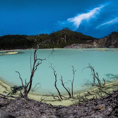 Voyage en Indonésie de Philippe M.