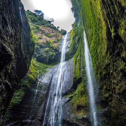 Voyage en Indonésie de Philippe M.