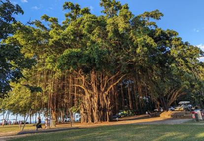 Top end du top end Voyage en Australie d'Angeline B.