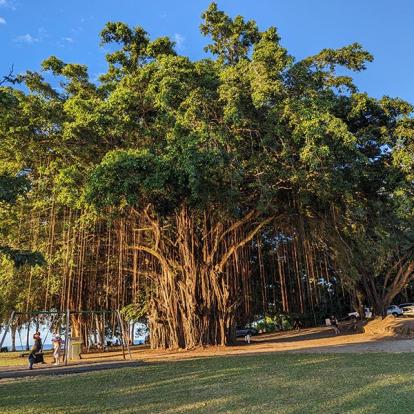 Top End Du Top End Voyage en Australie d'Angeline B.