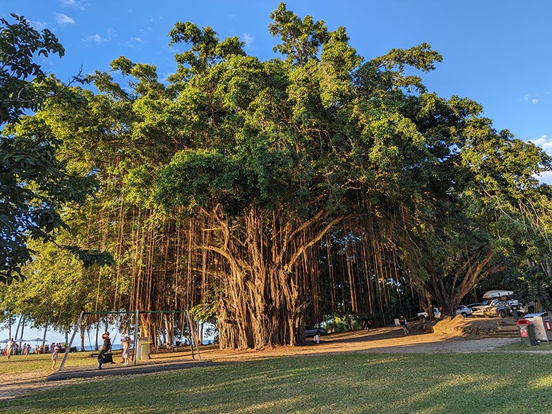 Top end du top end Voyage en Australie d'Angeline B.