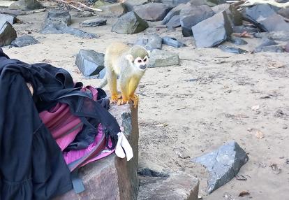 Voyage en Guyane de B.D.