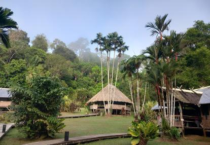 Camp cisame Voyage en Guyane de B.D.
