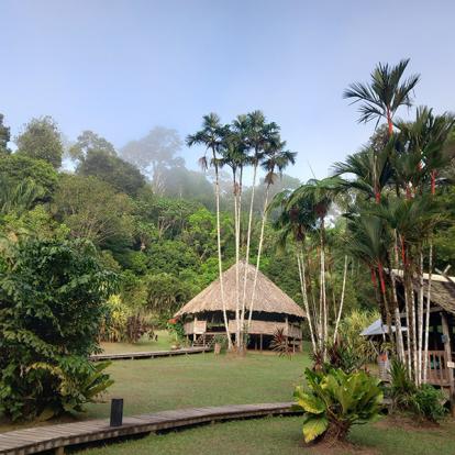 Camp Cisame Voyage en Guyane de B.D.