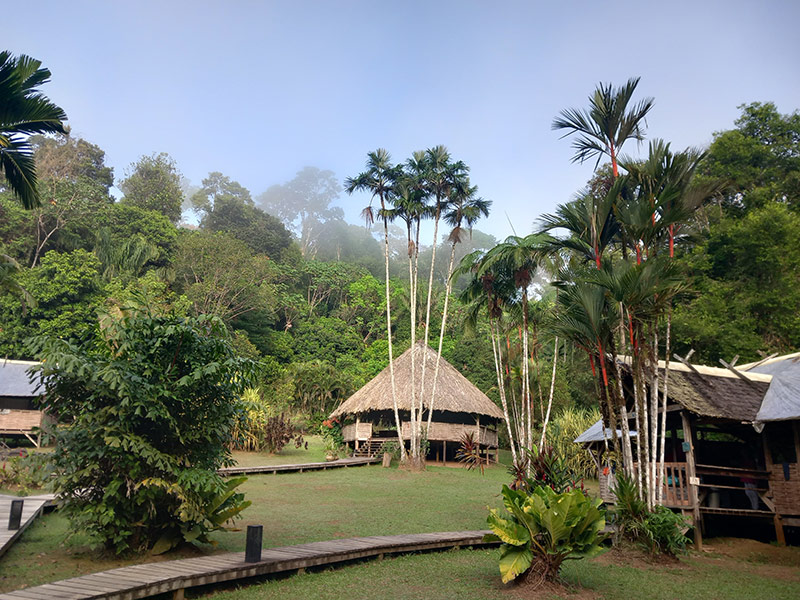 Camp cisame Voyage en Guyane de B.D.