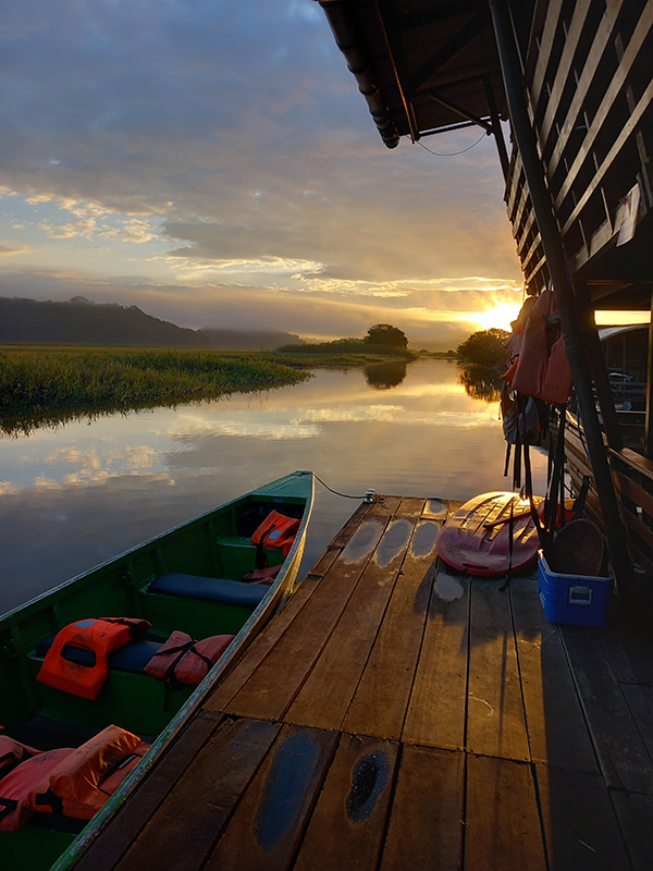 Lever de soleil marais de kaw Voyage en Guyane de B.D.