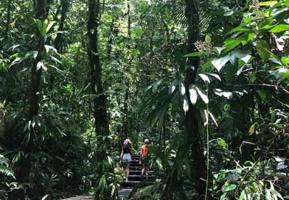 Voyage en Guadeloupe de Sophie L.