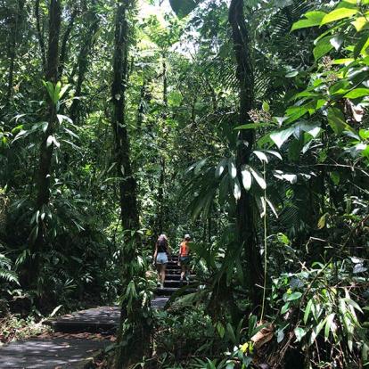 Voyage en Guadeloupe de Sophie L.