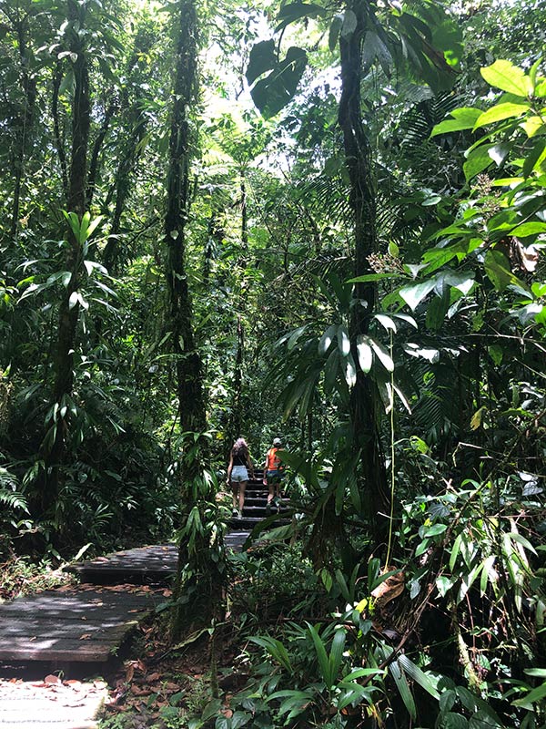 Voyage en Guadeloupe de Sophie L.