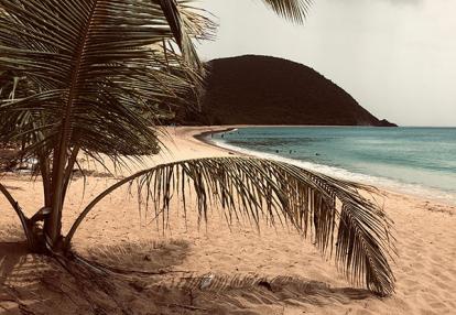 Voyage en Guadeloupe de Sophie L.