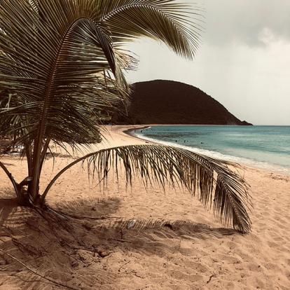 Voyage en Guadeloupe de Sophie L.