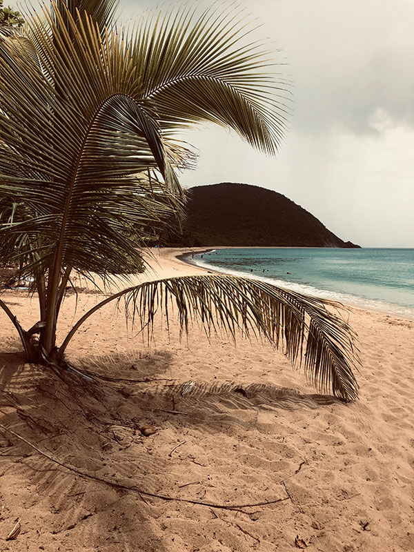 Voyage en Guadeloupe de Sophie L.