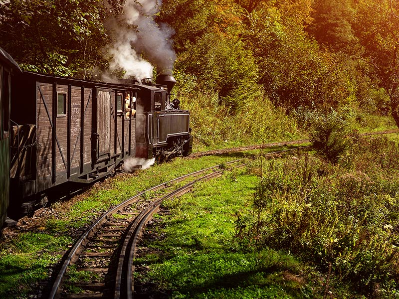 Voyage en Roumanie de Frédéric D.