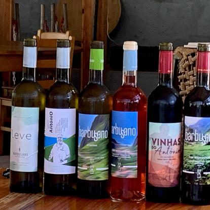 Visite Du Domaine Quinta Do Barbusano, Dégustation De Vins Et Déjeuner Sur Place Voyage à Madère de Jean-Luc T.