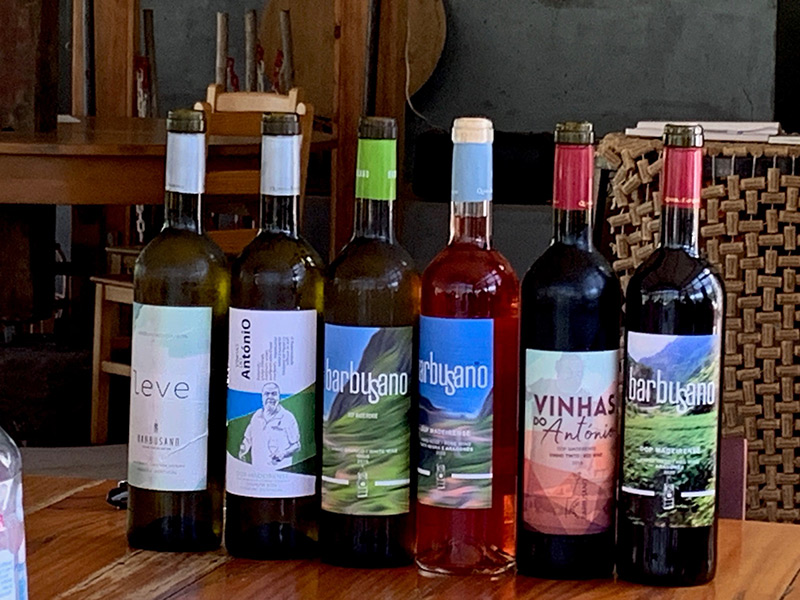 Visite du domaine Quinta Do Barbusano, dégustation de vins et déjeuner sur place Voyage à Madère de Jean-Luc T.