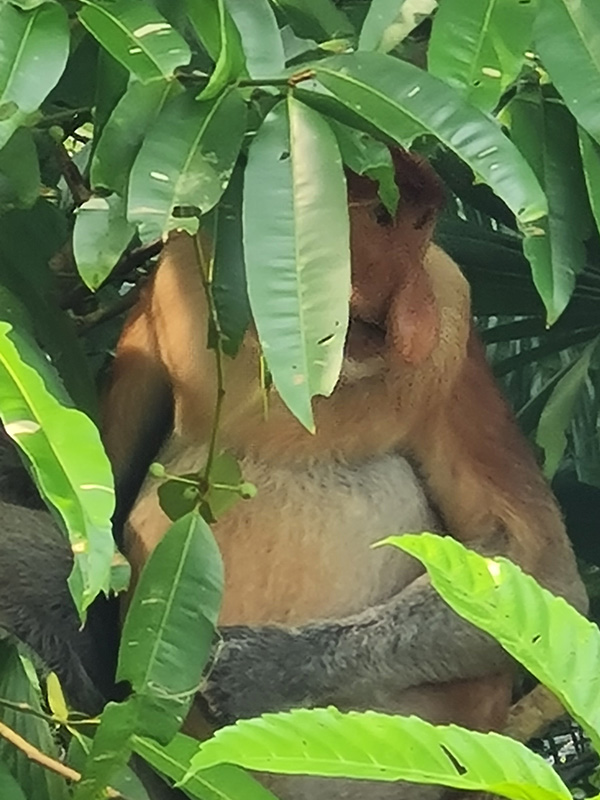 Voyage en Malaisie d'Isabelle B.