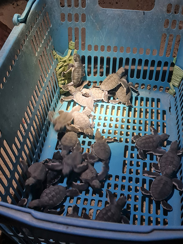 Voyage en Malaisie d'Isabelle B.