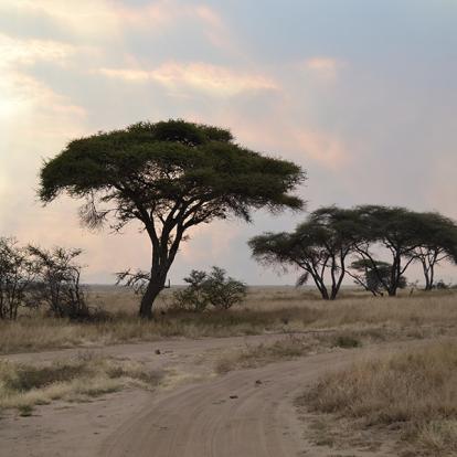Paysage Voyage en Tanzanie de Lydie C.
