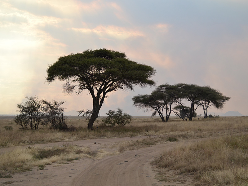Paysage Voyage en Tanzanie de Lydie C.