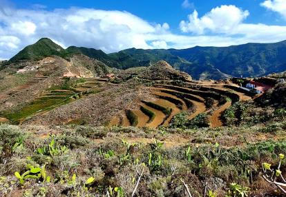 Chinamada Voyage aux Canaries de Sybill L.