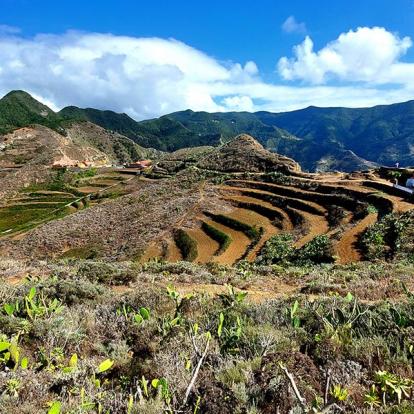 Voyage aux Canaries de Sybill L.