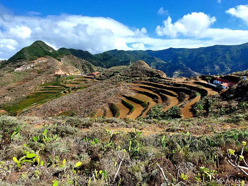 Voyage aux Canaries de Sybill L.