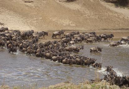 Tanzanie Voyage en Tanzanie de Michel P.