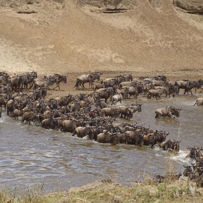 Tanzanie Voyage en Tanzanie de Michel P.