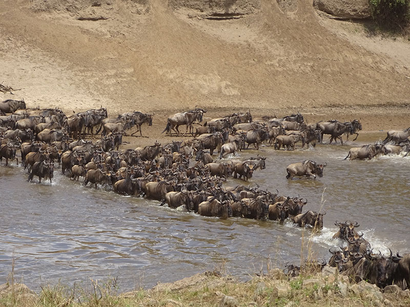Tanzanie Voyage en Tanzanie de Michel P.