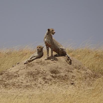 Tanzanie Voyage en Tanzanie de Michel P.