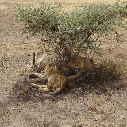 Tanzanie Voyage en Tanzanie de Michel P.