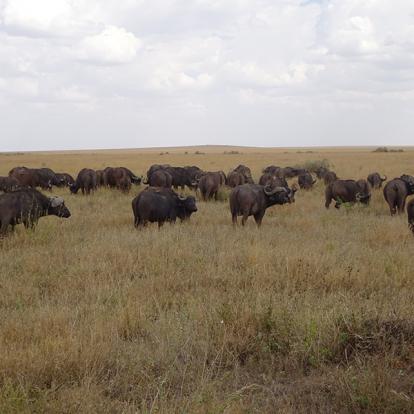 Tanzanie Voyage en Tanzanie de Michel P.