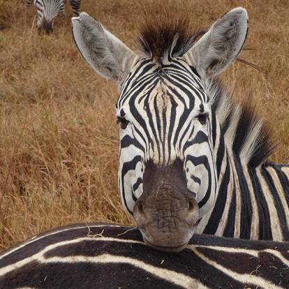 Tanzanie Voyage en Tanzanie de Michel P.