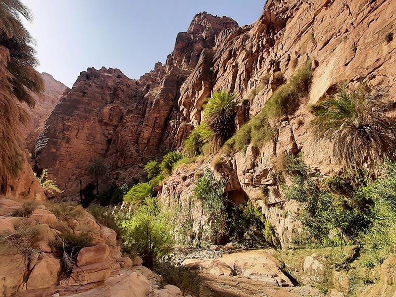 Voyage en Jordanie de Jérémy V.