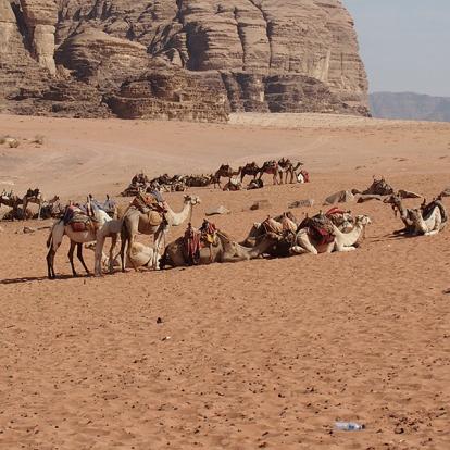 Wadi Rum Voyage en Jordanie de Rémy L.