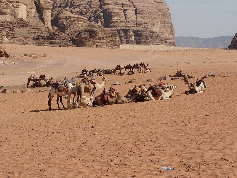 Wadi Rum Voyage en Jordanie de Rémy L.