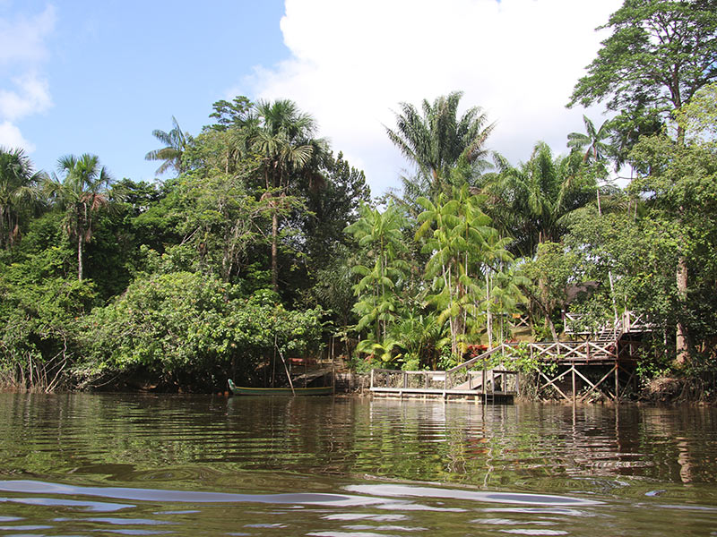 Voyage en Guyane de Raoul I.