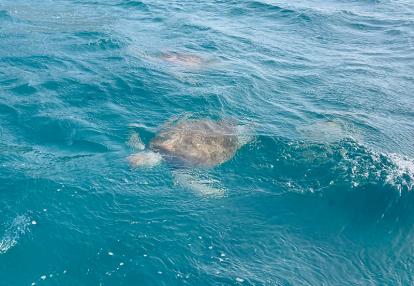Voyage au Cap Vert de Celine-Marie