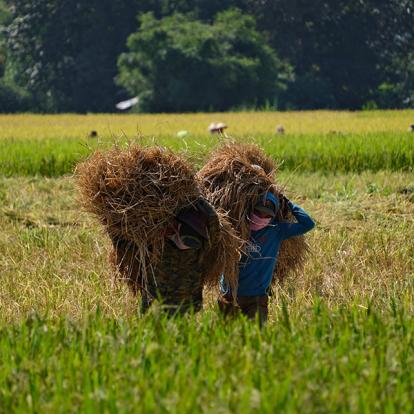 Voyage au Laos de Pascal H.