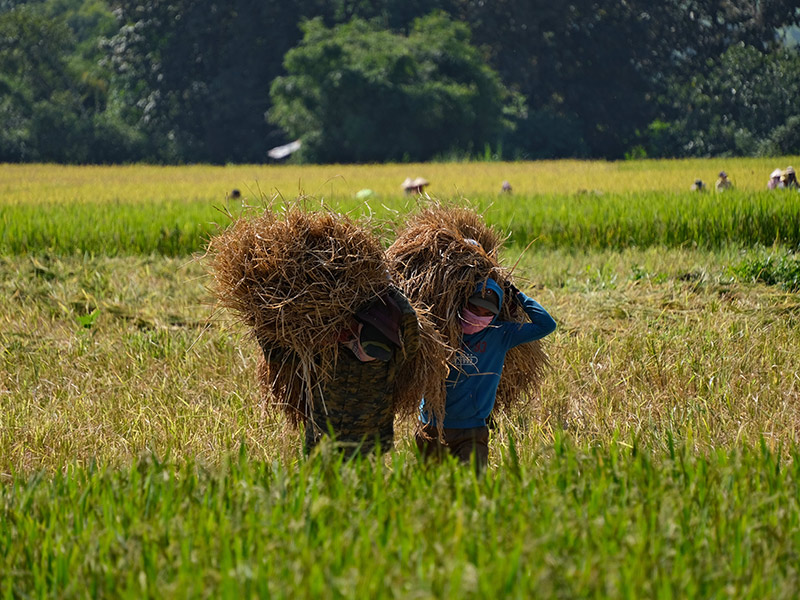 Voyage au Laos de Pascal H.