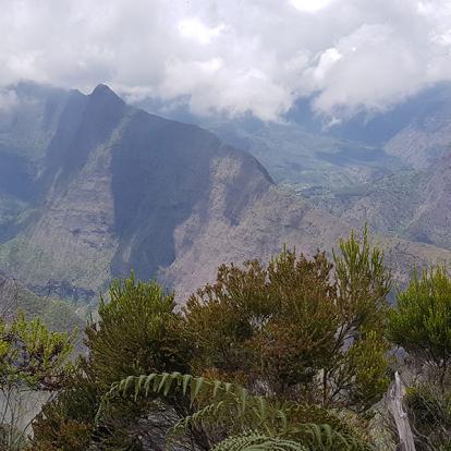 Voyage à La Réunion de Sylvie D.
