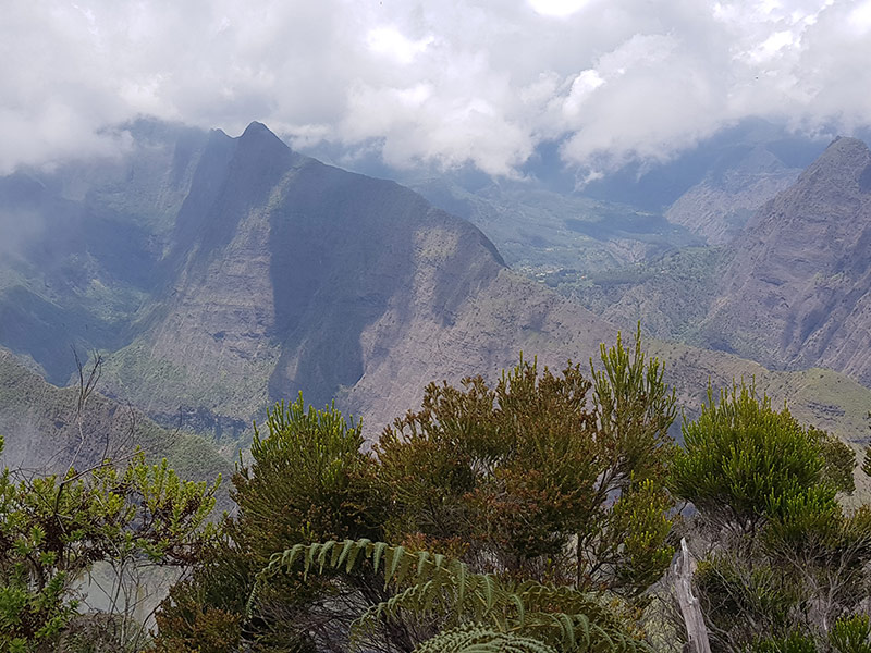 Voyage à La Réunion de Sylvie D.