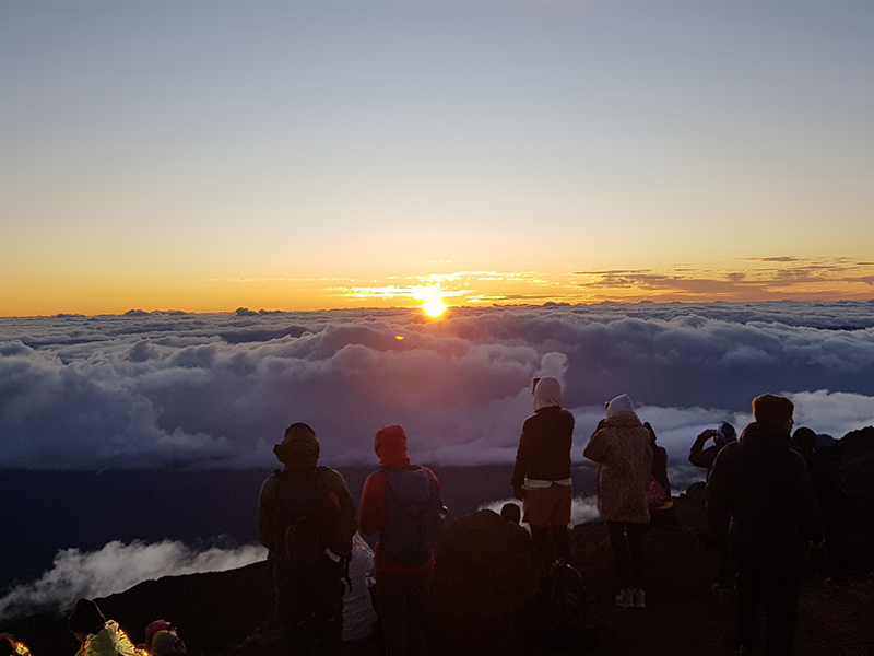 Voyage à La Réunion de Sylvie D.